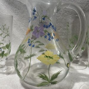 Oneida Vivid Meadow Handpainted Floral Glass Pitcher & Goblets Drinkware Set 5